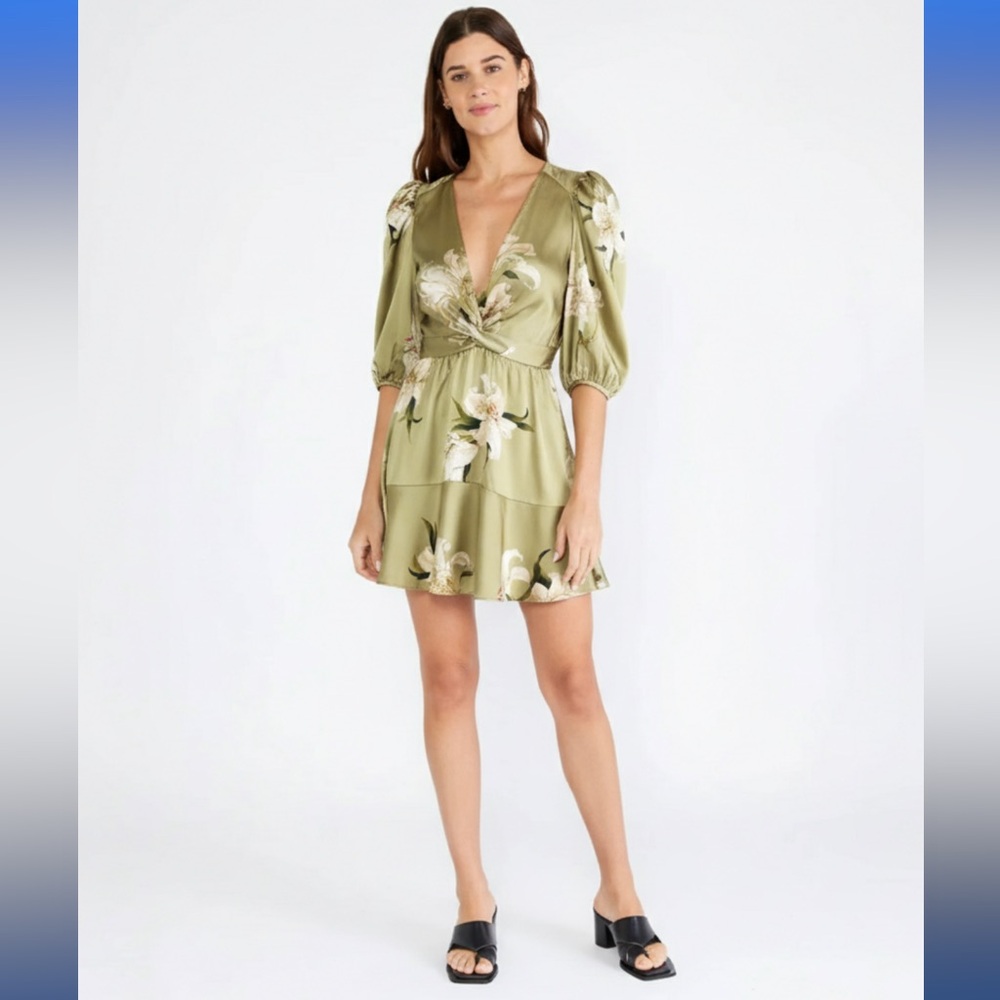 Zara sage green snd floral ruffle dress